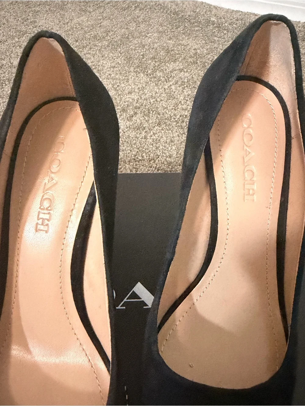 Coach Black Suede Pointed Toe Stiletto Pumps with Stud Trim
